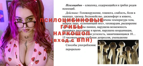 бошки Алексин