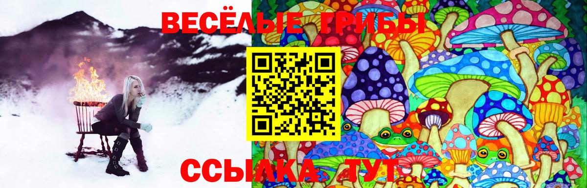 Псилоцибиновые грибы Cubensis Новоуральск