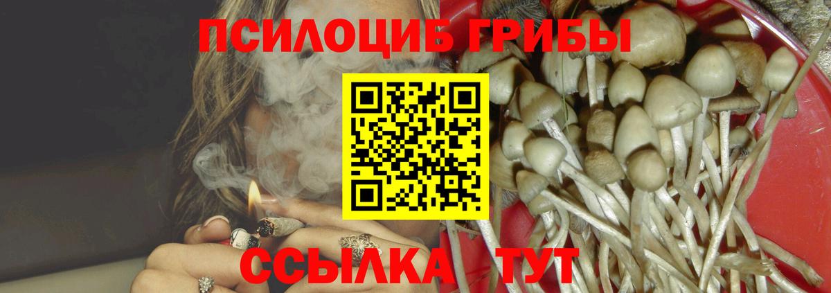 Новоуральск  Псилоцибиновые грибы Magic Shrooms  где найти наркотики  Вход с VPN 